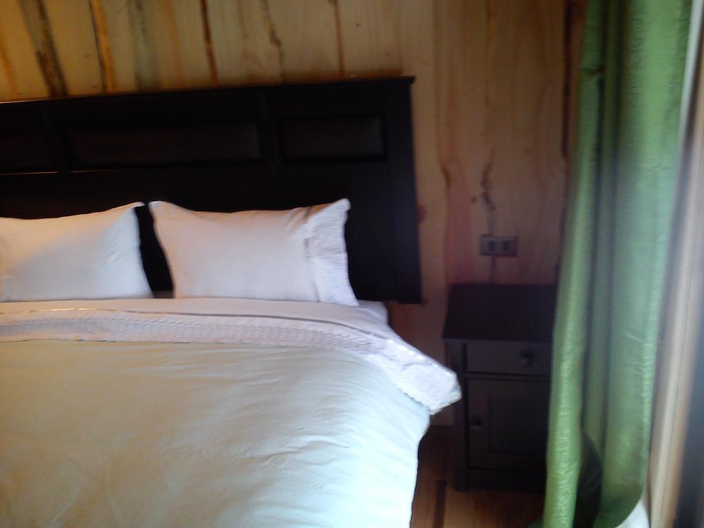 Hostal Los Alamos Neltume Bilik gambar